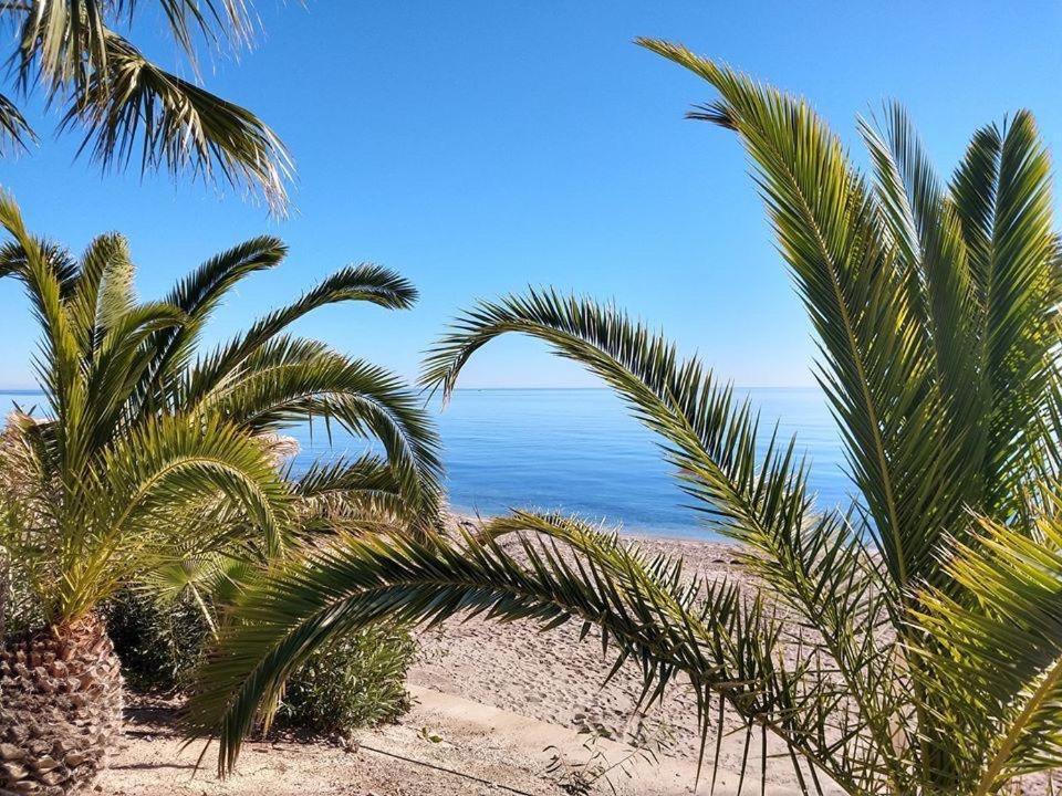 Ola Laguna Beach Vera Playa Екстериор снимка